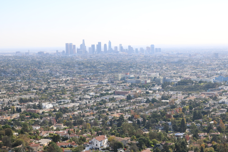 Illustration for article titled Griffith Park Photodump